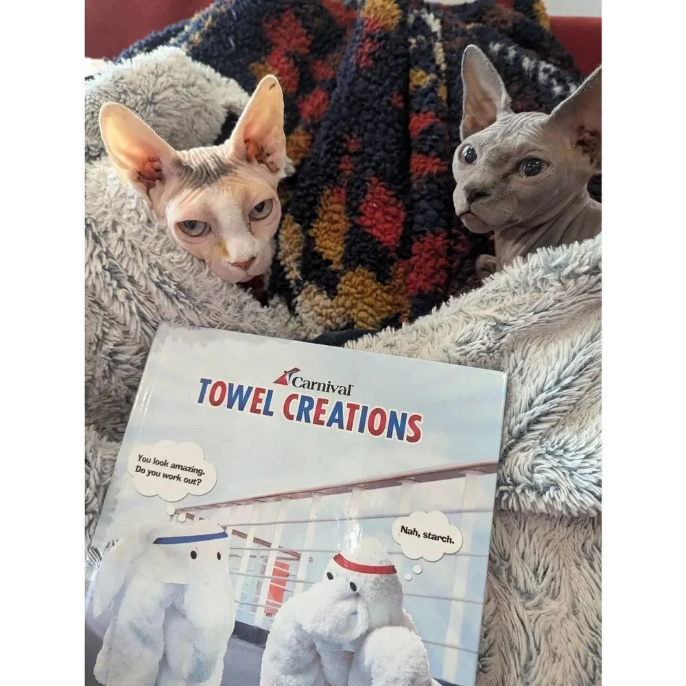 🌈5/25 Carnival Towel Creations Book